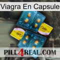 Viagra Capsule cialis5